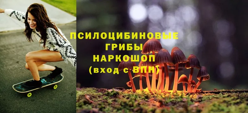 Галлюциногенные грибы Magic Shrooms  Балабаново 